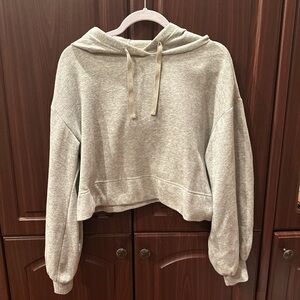 Cropped Grey Hoodie Urban Outfitters Sweater